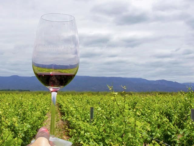 Argentina mendoza vinicola